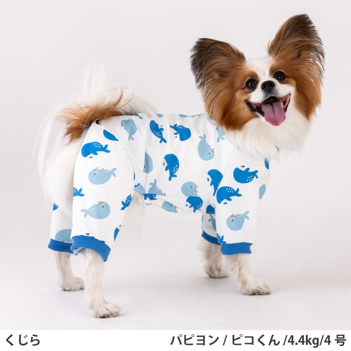 小型～超大型 ダックス 胴長 [全33size展開]<br>プリントクールロンパース クジラ - VERY-PET