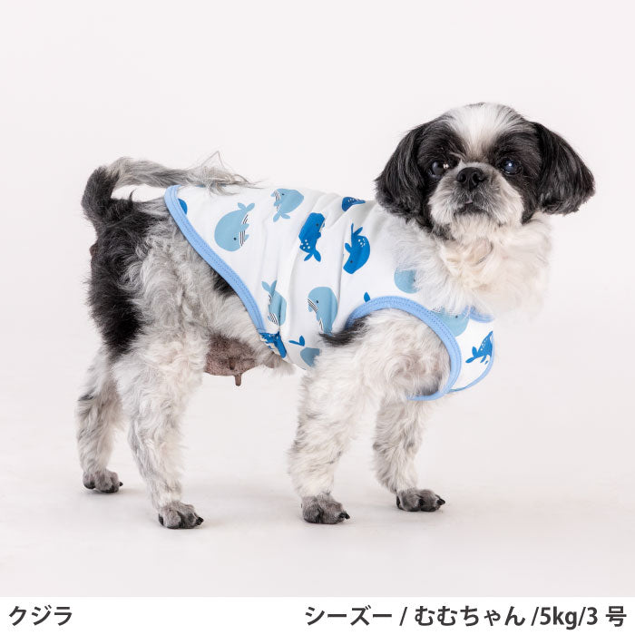 小型～超大型 ダックス 胴長 [全29size展開]<br>プリントクールタンク クジラ - VERY-PET