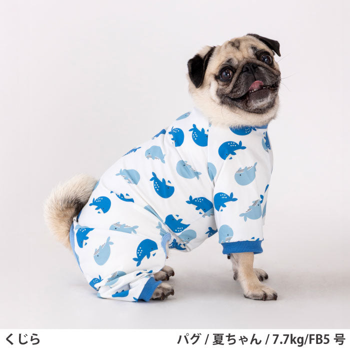 フレブル・パグ [全33size展開]<br>プリントクールロンパース クジラ - VERY-PET