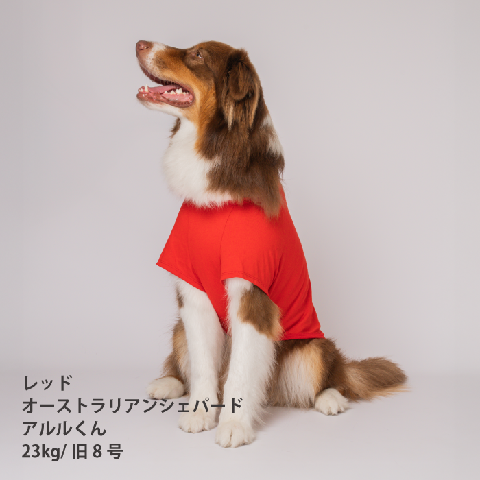 コットンTシャツ　無地・ボーダー【綿100%】大型犬 - VERY-PET