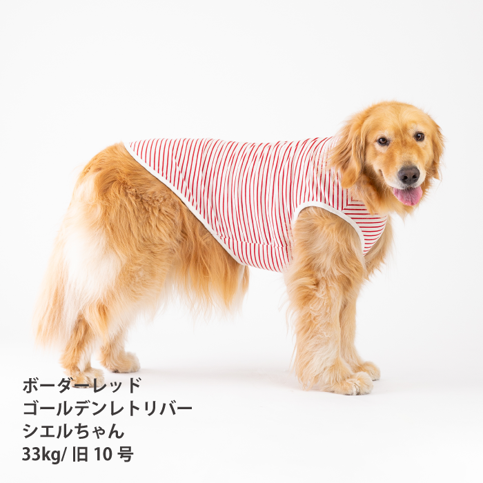 コットンタンクトップ　無地・ボーダー【綿100%】大型犬 - VERY-PET