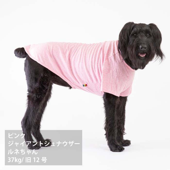 コットンTシャツ　無地・ボーダー【綿100%】大型犬 - VERY-PET