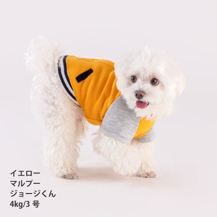 【スタイプレゼント対象商品】小型～超大型 ダックス 胴長 [全25size展開]<br>スタジャン