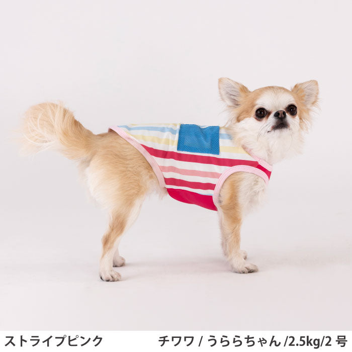 小型～超大型 ダックス 胴長 [全23size展開]<br>プリントクールタンク ストライプピンク - VERY-PET