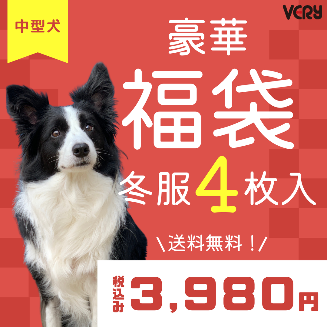 犬服 秋冬福袋  中型犬4枚入