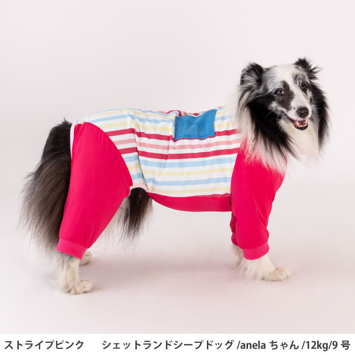 小型～超大型 ダックス 胴長 [全13size展開]<br>プリントクールロンパース ストライプピンク - VERY-PET