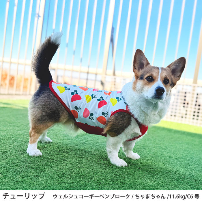 コーギー・バセット [全29size展開]<br>プリントクールタンク チューリップ - VERY-PET