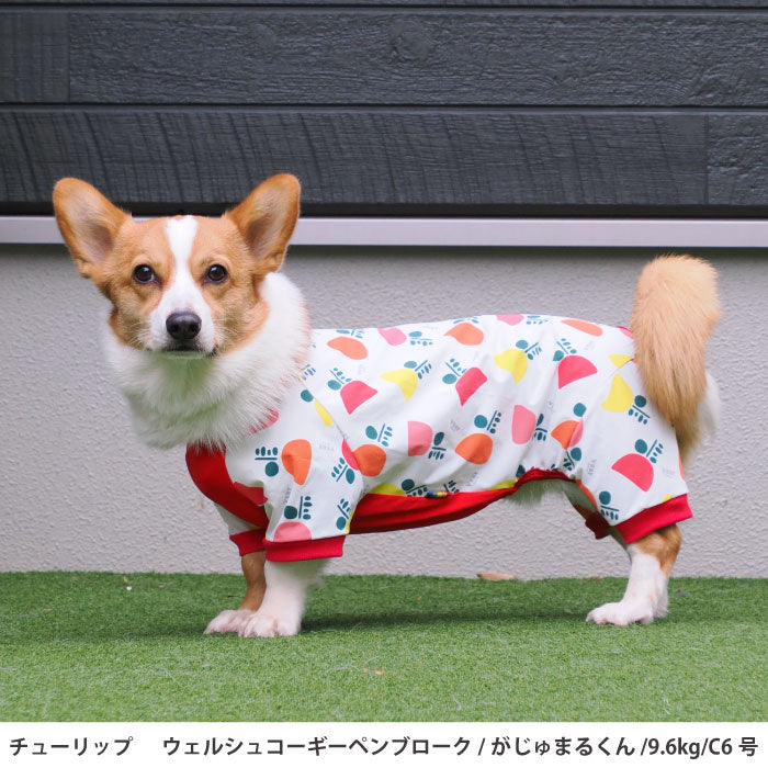 コーギー・バセット [全31size展開]<br>プリントクールロンパース チューリップ - VERY-PET