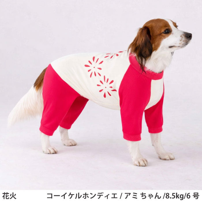 小型～超大型 ダックス 胴長 [全17size展開]<br>光るプリントクールロンパース 花火 - VERY-PET