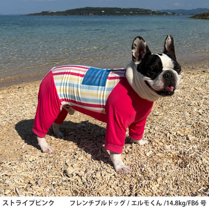 フレブル・パグ [全13size展開]<br>プリントクールロンパース ストライプピンク - VERY-PET