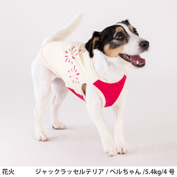 小型～超大型 ダックス 胴長 [全20size展開]<br>光るプリントクールタンク 花火 - VERY-PET
