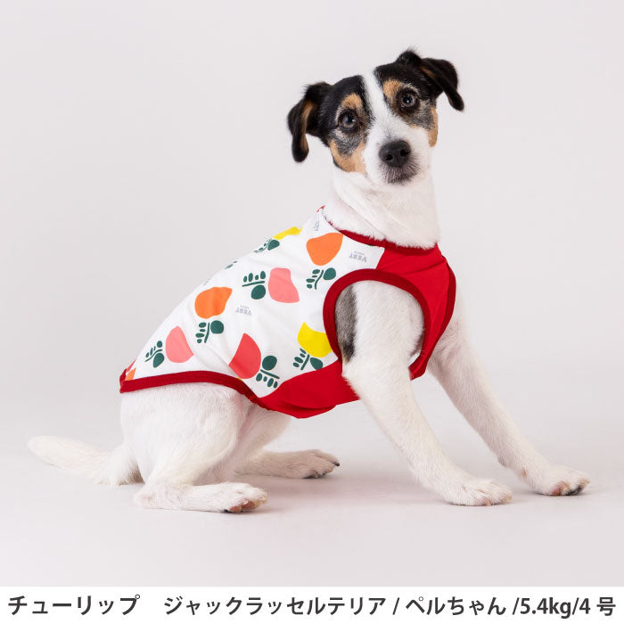 小型～超大型 ダックス 胴長 [全29size展開]<br>プリントクールタンク チューリップ - VERY-PET