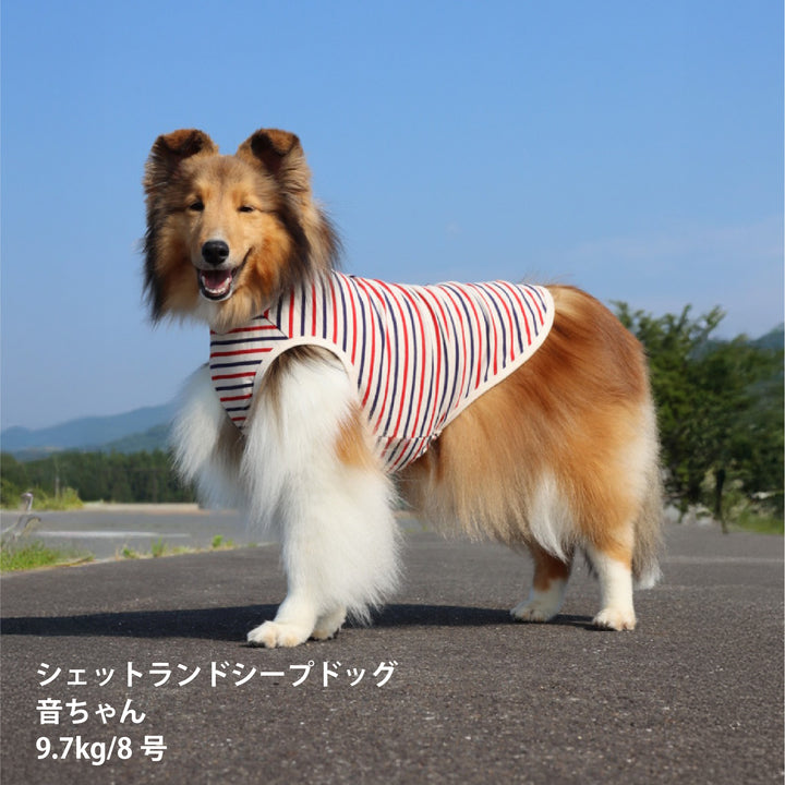 犬服 秋冬福袋  中型犬4枚入