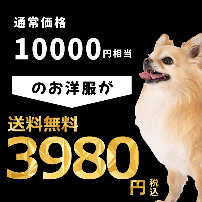 Web限定福袋<br>小型犬8枚入<br>冬服・男女混合デザイン<br>※返品 交換不可 - VERY-PET