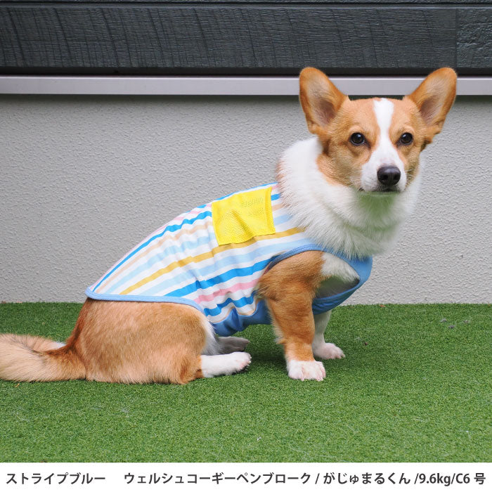 コーギー・バセット [全23size展開]<br>プリントクールタンク ストライプブルー - VERY-PET