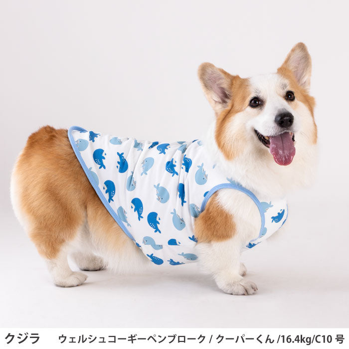 コーギー・バセット [全29size展開]<br>プリントクールタンク クジラ - VERY-PET