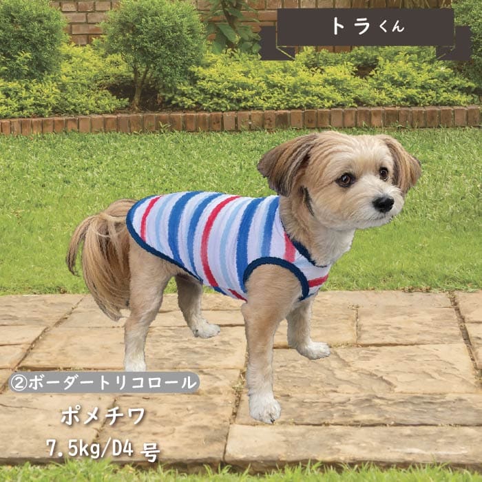 Web限定ボーダータンクトップ1 小型犬・胴長・ダックス - VERY-PET