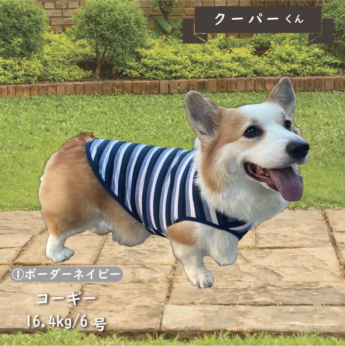 Web限定ボーダータンクトップ1 中型犬 - VERY-PET