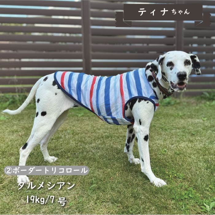 Web限定ボーダータンクトップ1 中型犬 - VERY-PET