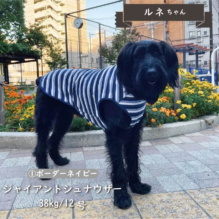 Web限定ボーダータンクトップ1 大型犬 - VERY-PET