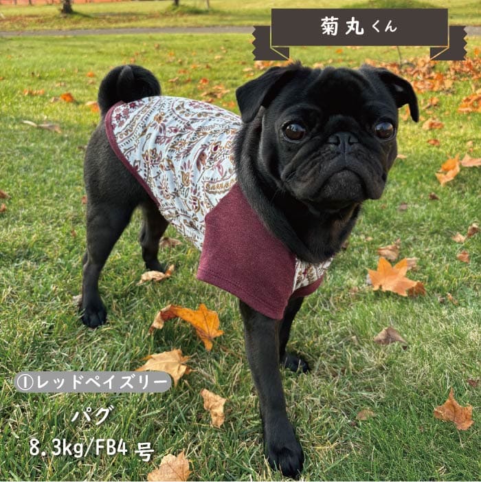 Web限定ペイズリープリントTシャツ フレブル・パグ - VERY-PET