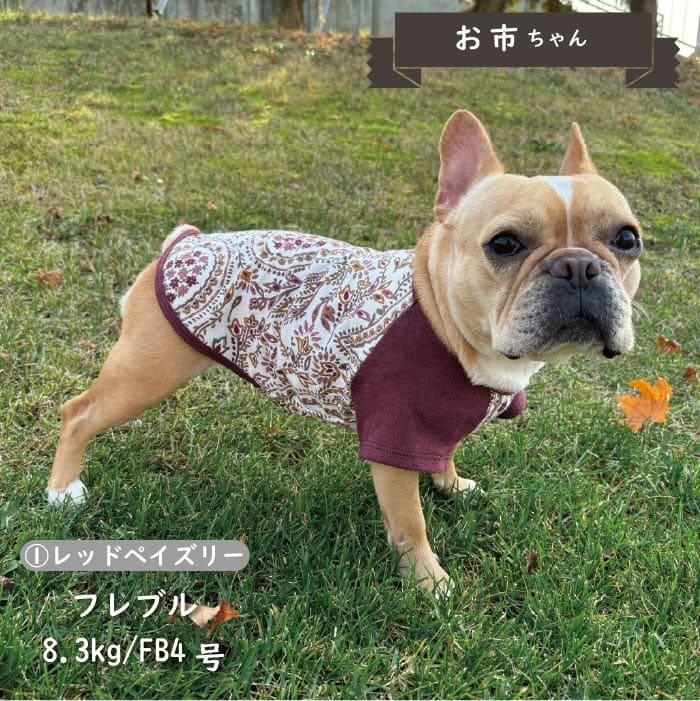 Web限定ペイズリープリントTシャツ フレブル・パグ - VERY-PET