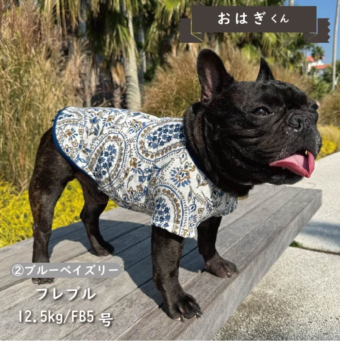 Web限定ペイズリープリントTシャツ フレブル・パグ - VERY-PET