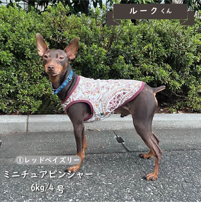 Web限定ペイズリープリントタンクトップ 小型犬・胴長・ダックス - VERY-PET