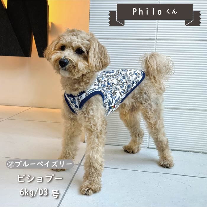 Web限定ペイズリープリントタンクトップ 小型犬・胴長・ダックス - VERY-PET