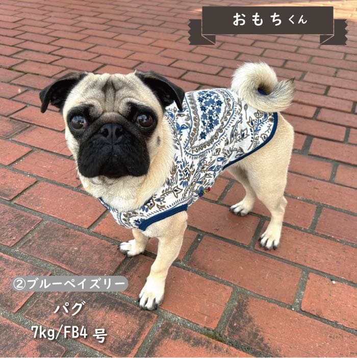 Web限定ペイズリープリントタンクトップ フレブル・パグ - VERY-PET