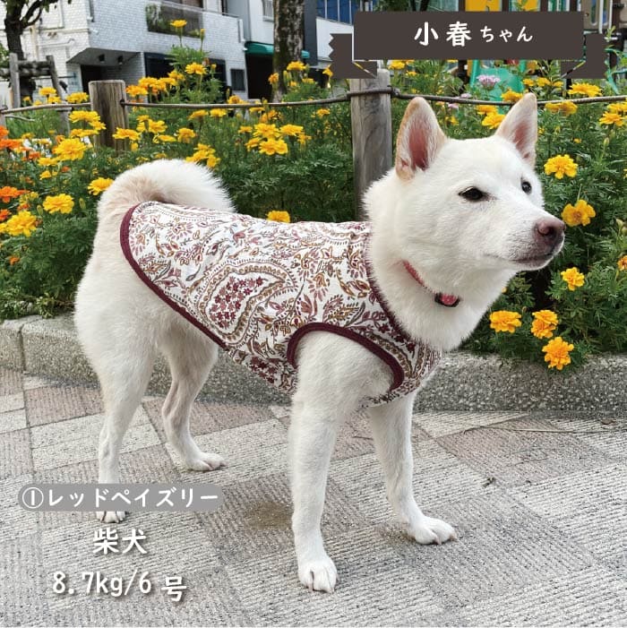 Web限定ペイズリープリントタンクトップ 中型犬 - VERY-PET