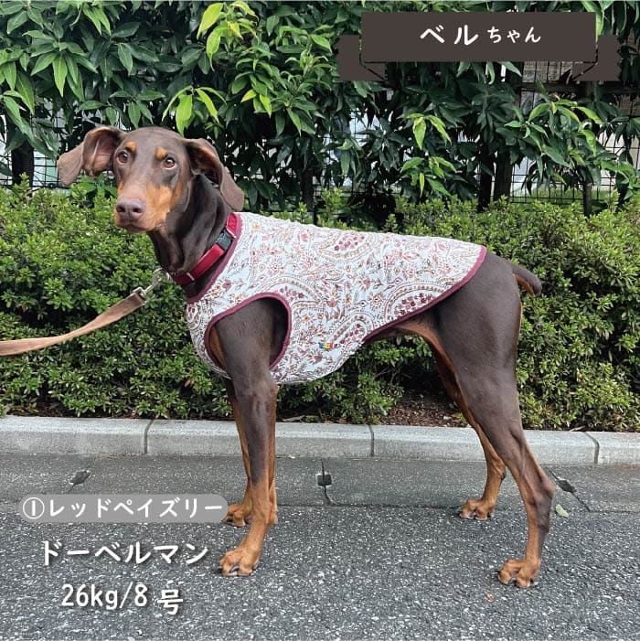 Web限定ペイズリープリントタンクトップ 大型犬 - VERY-PET