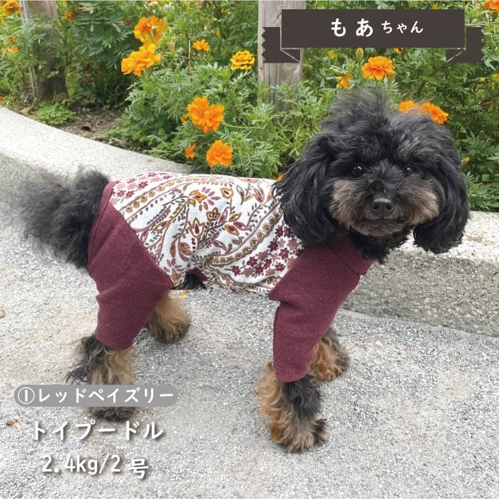 Web限定ペイズリープリントカバーオール 小型犬・胴長 - VERY-PET