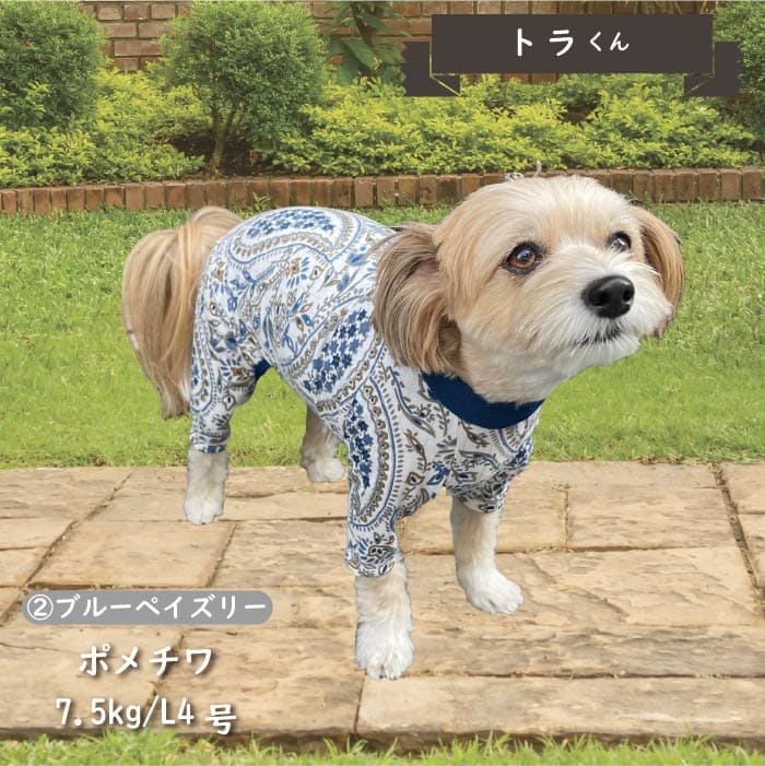 Web限定ペイズリープリントカバーオール 小型犬・胴長 - VERY-PET