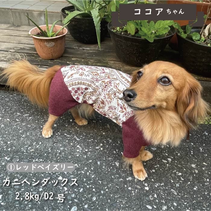 Web限定ペイズリープリントカバーオール ダックス - VERY-PET