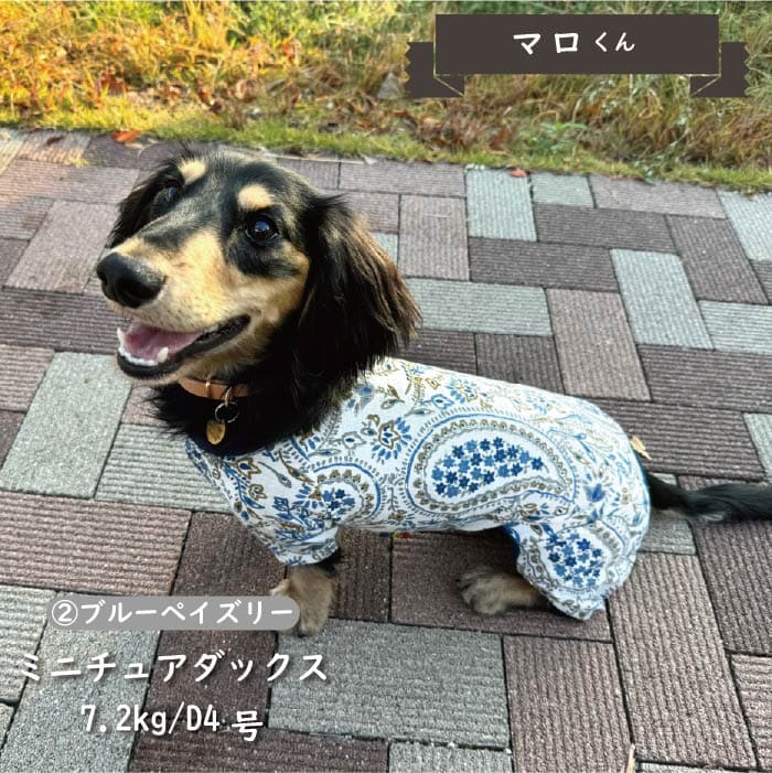 Web限定ペイズリープリントカバーオール ダックス - VERY-PET