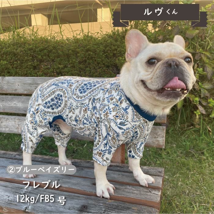 Web限定ペイズリープリントカバーオール フレブル・パグ - VERY-PET