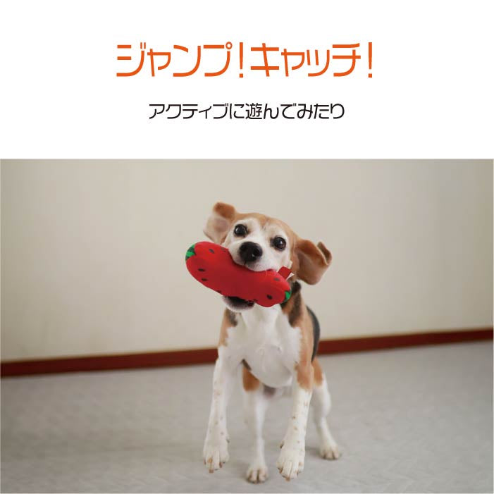 おやつを入れるポケット付＆鳴き笛入りおもちゃ Sサイズ 10個セット【バラ売り不可・在庫限り】