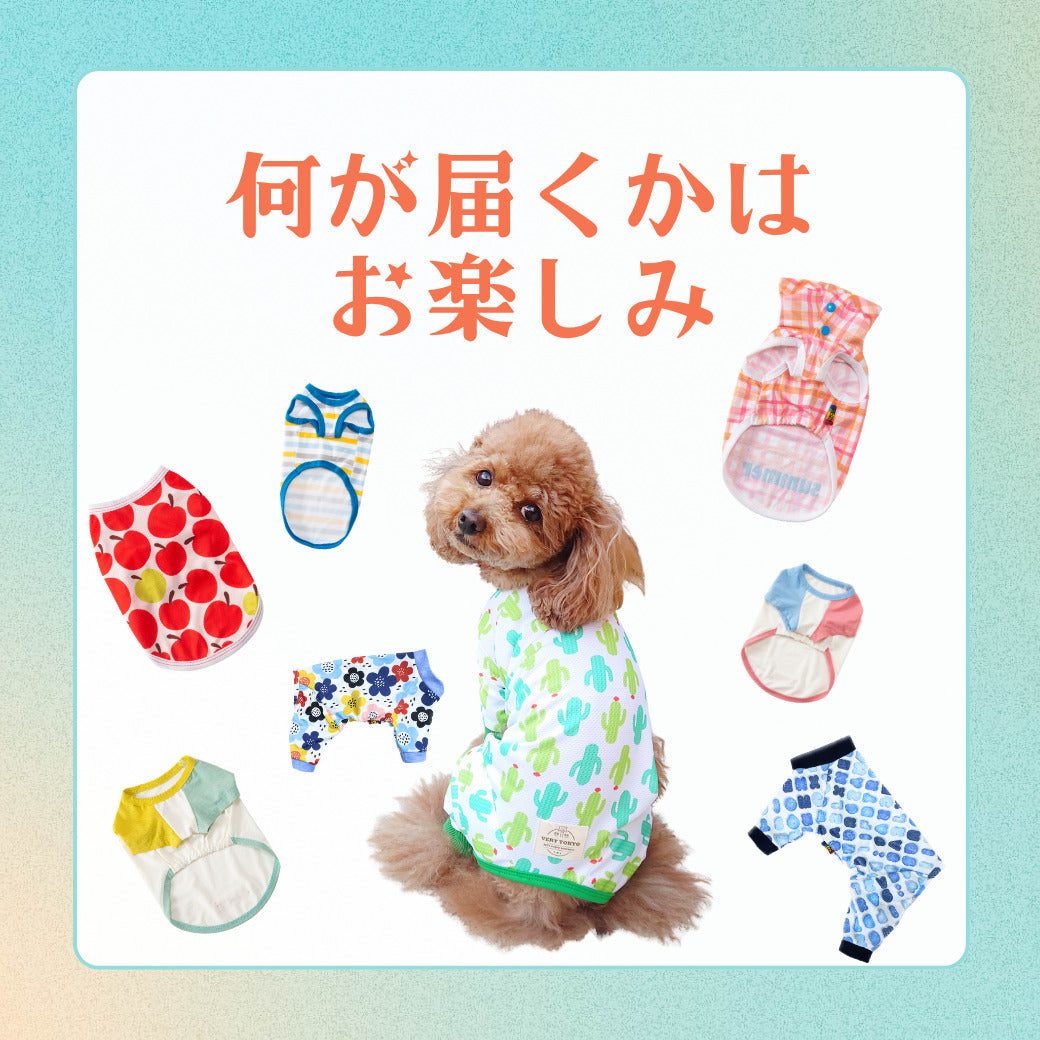 Web限定 犬服 夏福袋 送料無料<br>小型犬8枚入　 ※返品交換不可・在庫限り - VERY-PET