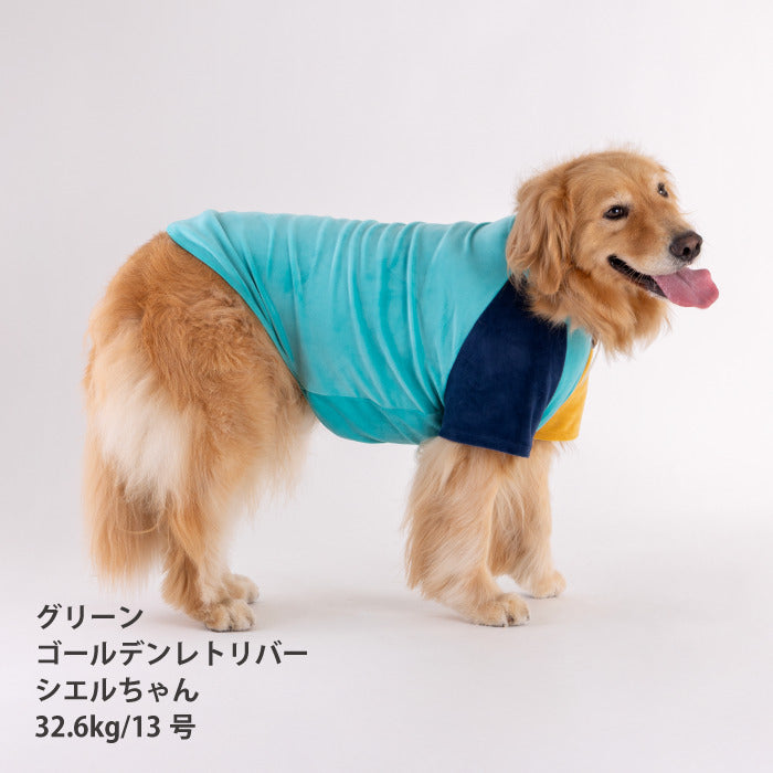 【スタイプレゼント対象商品】小型～超大型 ダックス 胴長 [全29size展開]<br>カラーブロックTシャツ　※グリーンの8号・9号・10号・11号は定価の20%OFF - VERY-PET