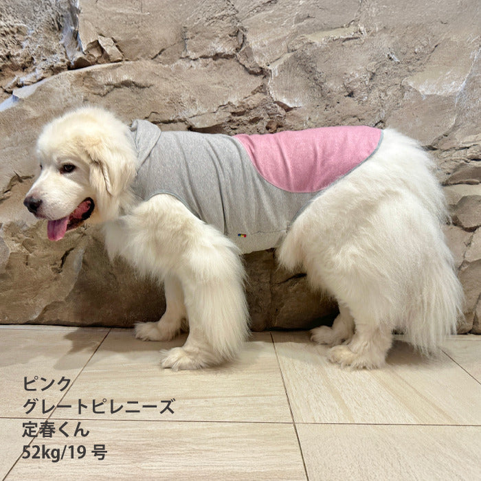 【スタイプレゼント対象商品】小型～超大型 ダックス 胴長 [全29size展開]<br>カラースキームタンク　※一部サイズは定価の20%OFF - VERY-PET