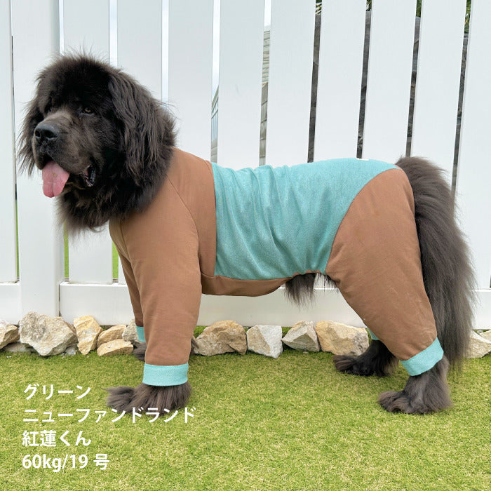 【スタイプレゼント対象商品】小型～超大型 ダックス 胴長 [全32size展開]<br>カラースキームロンパース - VERY-PET