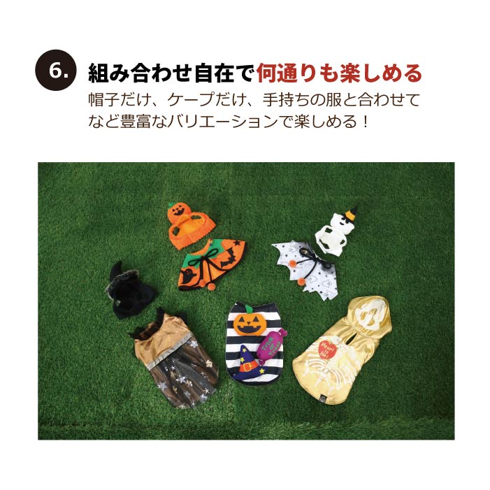 <font size="3">小型犬</font> <br>ハロウィンコスチューム 選べる5種類 - VERY-PET