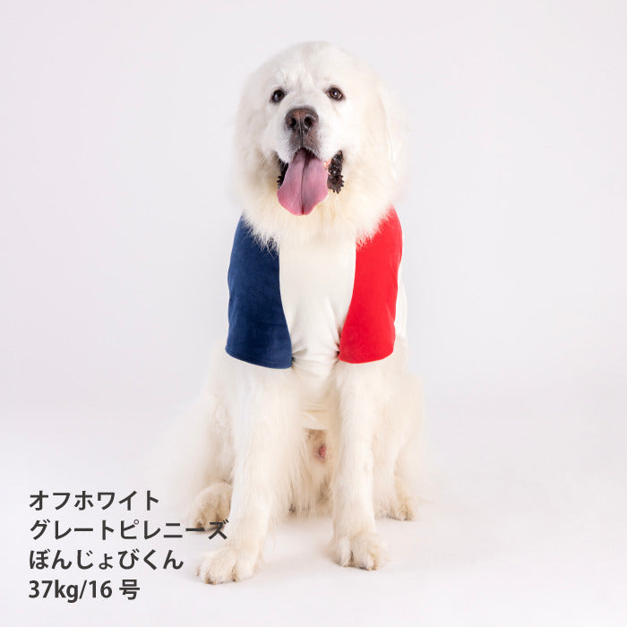 【スタイプレゼント対象商品】小型～超大型 ダックス 胴長 [全29size展開]<br>カラーブロックTシャツ