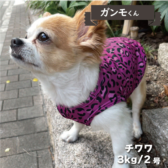 6柄展開<br>COOLタンクトップ 小型犬・胴長・ダックス - VERY-PET