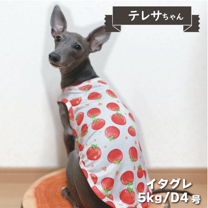 6柄展開<br>COOLタンクトップ 小型犬・胴長・ダックス - VERY-PET