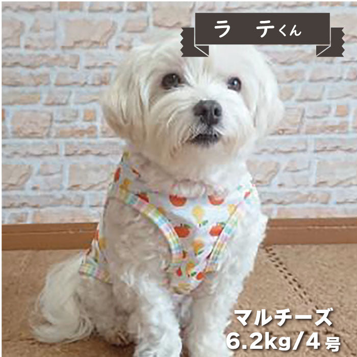 6柄展開<br>COOLタンクトップ 小型犬・胴長・ダックス - VERY-PET