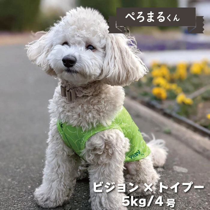 6柄展開<br>COOLタンクトップ 小型犬・胴長・ダックス - VERY-PET