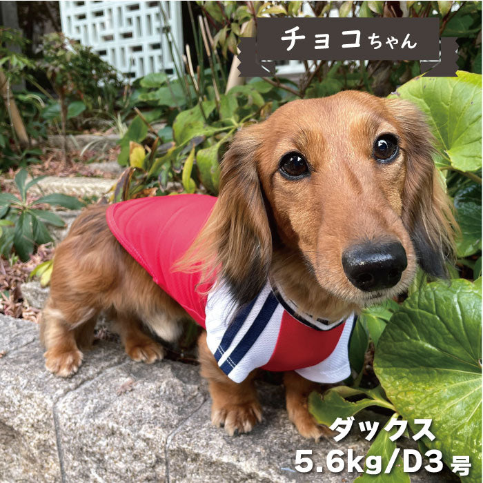 4色展開<br>COOLジャージ風Tシャツ 小型犬・胴長・ダックス - VERY-PET