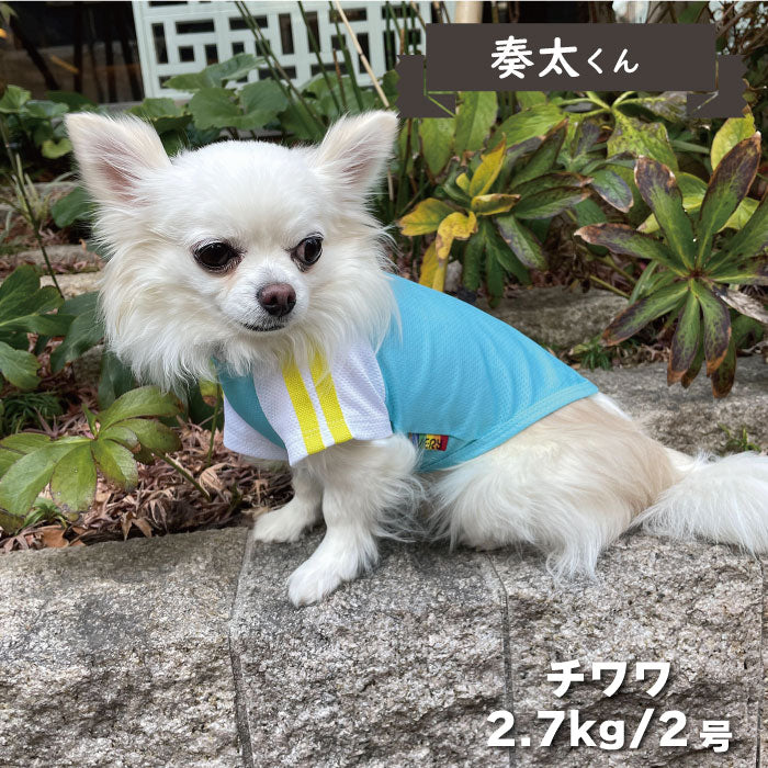 4色展開<br>COOLジャージ風Tシャツ 小型犬・胴長・ダックス - VERY-PET